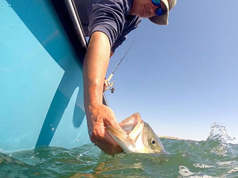 Breezy Point Resort Marina   5230 Breezy Point Road Chesapeake Beach, MD 20732